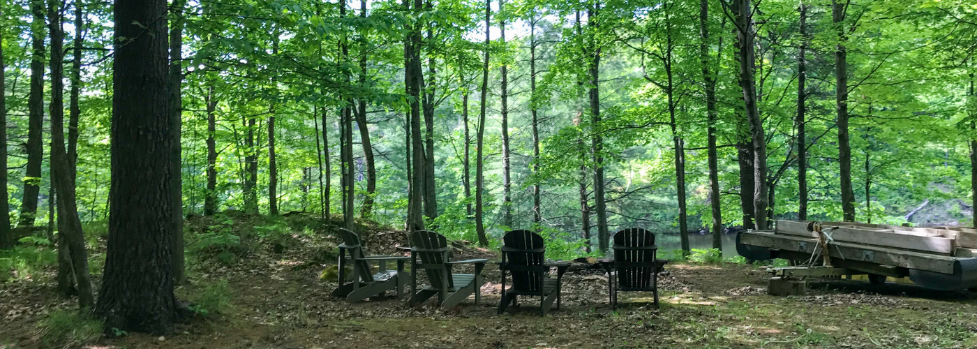 Four outdoor chairs in forested area facing lake.